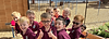 Preschool-Header.png