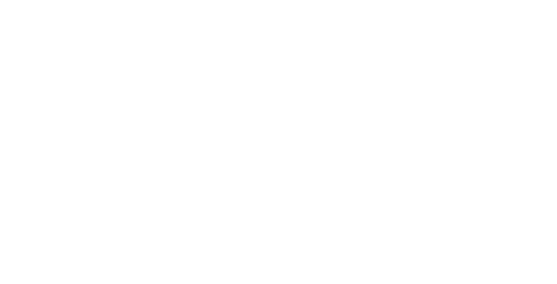 DCS_Logo_light.png